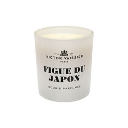 Duftlys Figue Du Japon, Victor Vaissier