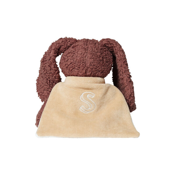 Den trofaste hund med kappe, Sleeping Hero