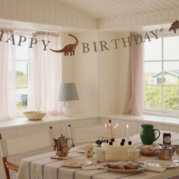 Birthday Kit, dino, Konges Sl&oslash;jd